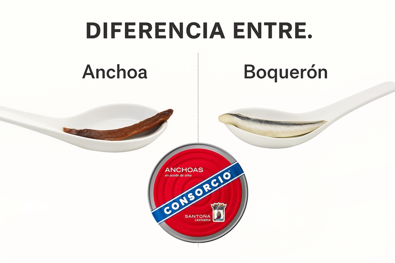 Diferencia entre anchoa y boquerón: ¿es lo mismo?