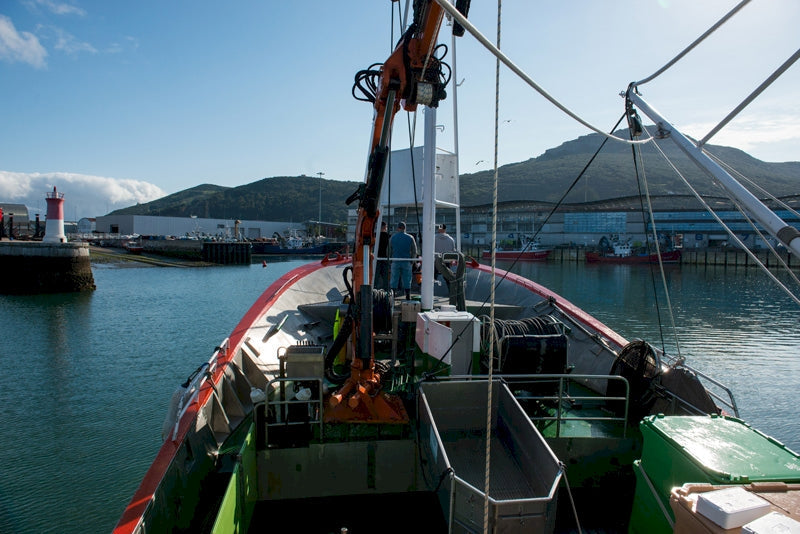 Principales campañas de pesca en el Cantábrico