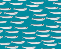 5 Diferencias entre pescado blanco y pescado azul