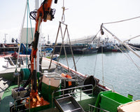 Costera de la anchoa 2024, una experiencia única del mar