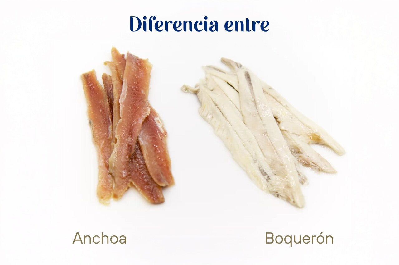 Diferencia entre anchoa, boquerón y bocarte: ¿qué cambia?