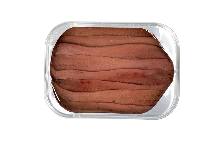 Conserve di acciughe del Cantabrico