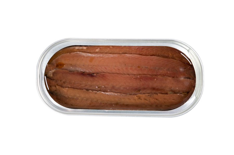 acciughe del Cantabrico