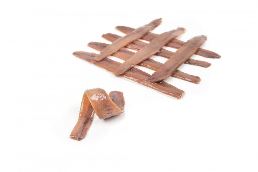 anchoa del cantábrico