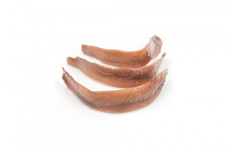 filete anchoa del cantabrico